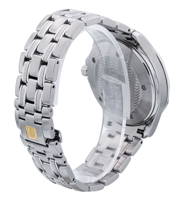 Omega Seamaster GMT 2534.50.00 Image 3